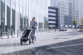 Thule Chariot Lite 2