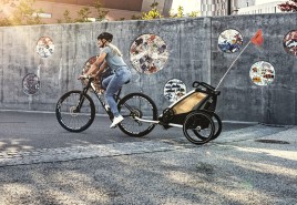 Thule Chariot Lite 1